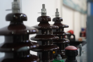 Insulators for high-voltage power transmission lines.