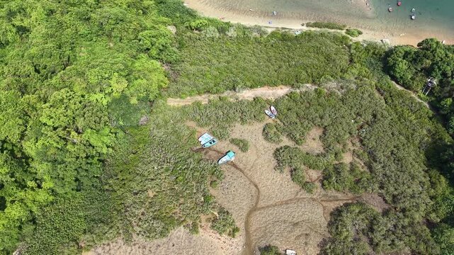 Lush Sam Mun Tsai wetland ecosystem in Hong Kong countryside June 7 2025