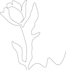 Continuous one line drawing of beautiful spring flowers graphic design. Single line art illustration of tulip flower on white background