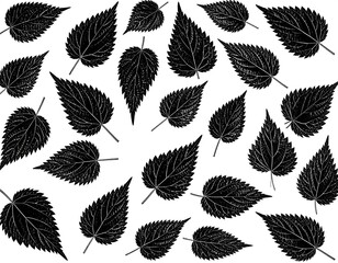 Fototapeta premium A black and white illustration on a white background, featuring a pattern of detailed leaves with serrated edges and visible veins