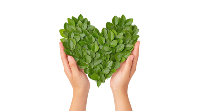 Hands Holding Green Heart: Symbol of Nature, Love, and Sustainability