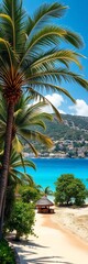 Fototapeta premium Crete's lush palm forest meets a stunning tropical beach, a paradise for visitors, crete, island