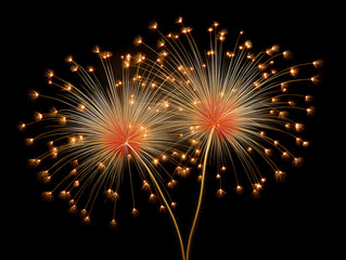 Vibrant fireworks lighting up the night sky with colorful bursts and streaks. Celebration and festivity scene.
