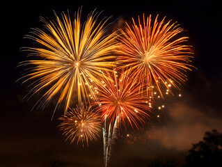 Vibrant fireworks lighting up the night sky with colorful bursts and streaks. Celebration and festivity scene.