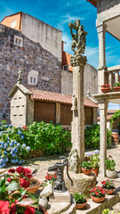 Fototapety na wymiar - Fototapeta24.pl