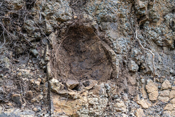  Spherical weathering. Weathered basalt. Koʻolau Range / shield volcano. Moanalua Valley & Moanalua Ridge Trail to the Haiku Stairs (Stairway To Heaven), Honolulu, Oahu, Hawaii. Koolau Basalt

