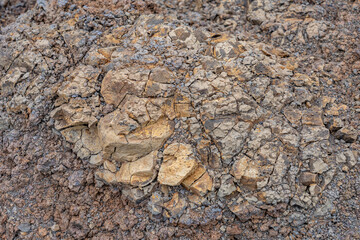 Weathered basalt. Koʻolau Range / shield volcano. Moanalua Valley & Moanalua Ridge Trail to the Haiku Stairs (Stairway To Heaven), Honolulu, Oahu, Hawaii. Koolau Basalt / Tholeiitic basalt. Oxidized