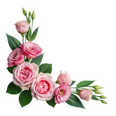 Elegant pink roses and eustoma flowers corner arrangement for sophisticated designs transparent background © NARGIS
