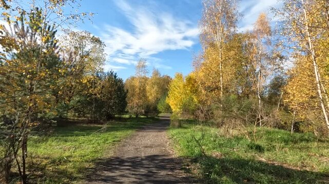 Wanderroute Tweelingterril in der Herbstsonne im Nationalpark Hoge Kempen in Limburg Belgien