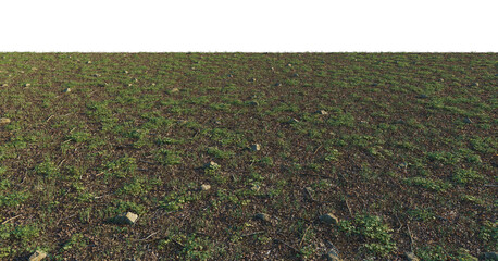 Forest ground surface with straw, leaves, clover and micro plants cutout isolated png on a transparent background premium nature cutout