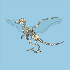 Fototapeta premium Modern Flat Design Bird-Dinosaur Anatomy Illustration for Scientific Education and Research