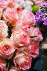 Beautiful pink roses arranged for decoration in spring