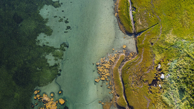 Aerial view of Shag Harbour's coastal marsh and grassy shoreline