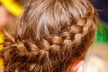 Fototapeta premium A girl with brown hair has a braid on her head