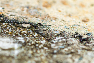 Abstract background of multi-colored inclusions on the rock surface, macro
