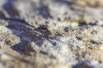 Abstract background of a stone surface illuminated by the Sun.
