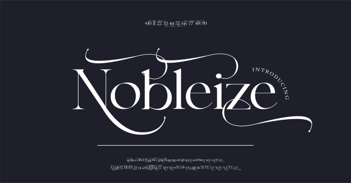 Luxury wedding alphabet letters font and number. Typography elegant classic lettering serif fonts decorative vintage retro concept. vector illustration