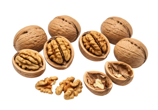 Fresh walnuts displayed with some cracked open on black background