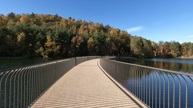 Mijnterrils Br&uuml;cke im Nationalpark Hoge Kempen in Belgien