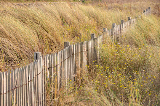 Cl&ocirc;ture type ganivelle en bois dans une dune de sable, format horizontal