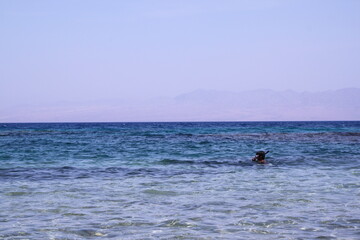 Bedouin woman walking in Sinai, Red Sea traditional Middle Eastern culture and lifestyle