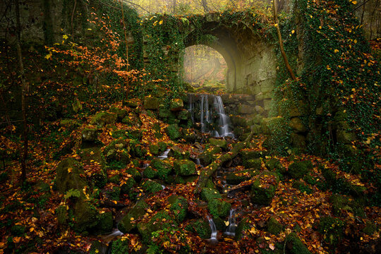 Misty forest bridge waterfall in autumn. Sächsische Schweiz, Germany landscape. Travel in Europe. Misty foggy morning sunride nature. Rock hills with trees and forest. Saxon Switzerland. Autum creek.