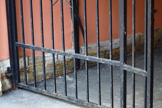 A close-up of a black and white cat peeking out from behind a gate, with a curious expression