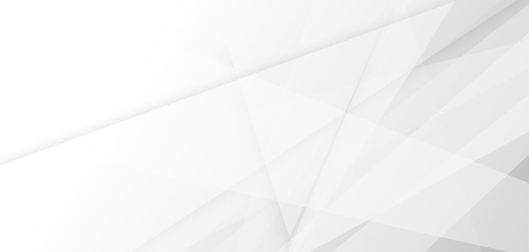 Modern Abstract white and grey background with layers of textured. line shadow design.