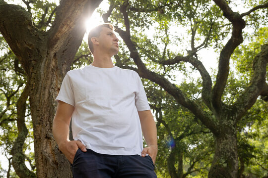 Young man contemplating future standing under sunlit trees - Powered by Adobe