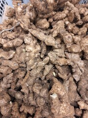 close up of a pile of gingers