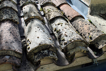 Toiture à nettoyer, avec mousses et lichens