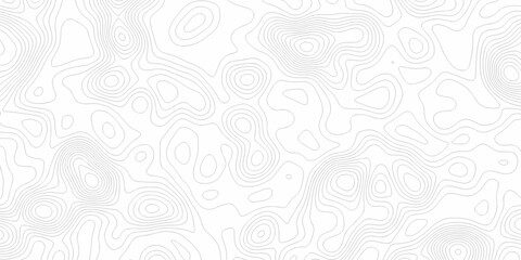 Fototapeta premium Minimal white line geometric grid outline curve counter map and wavy topography relief discovery area white, black line texture background. 
