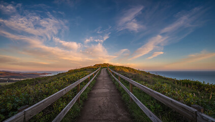 Scenic Coastal Pathway Leading to Serene Horizon View