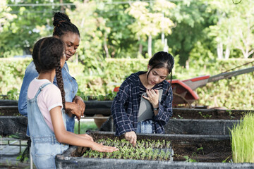 Asian student using tablet to record observation during school organic farming class while african female teacher and asian preteen girl assist with vegetable seedlings at planting station outdoors