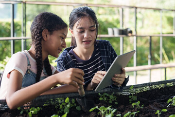 Multiracial girl student and asian female student collaborating during school farming class using digital tablet and hand trowel to inspect plant growth and learn sustainable agriculture techniques