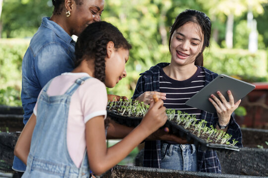 Group of diverse students and african teacher participating in organic farming class at school garden, checking vegetable seedling tray while using tablet for data collection during outdoor activity