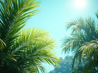 Fototapeta premium Palm leaves under bright tropical sunlight