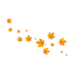 Obraz premium Falling Maple Leaves Vector Illustration