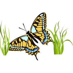 A Yellow and Blue Butterfly Rests Among Green Grass Blades on a Transparent Background