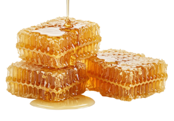 Two fresh golden-amber honeycombs with intricate hexagonal wax cells, pure viscous honey, one gently dripping, isolated on a bright white background with copy space, concept of natural purity and