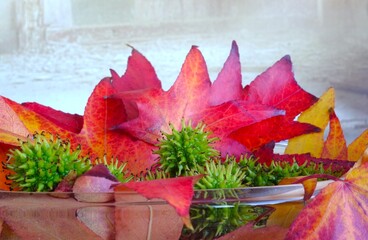 Still mit Herbstlaub