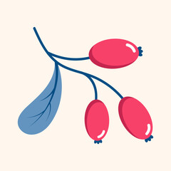 Red berries. Winter plant. Winter branches and leaves. Winter floral elements. Holiday decoration. Vector illustration