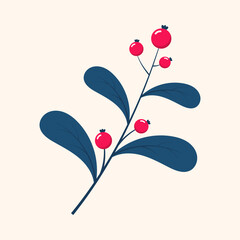 Red berries. Winter plant. Winter branches and leaves. Winter floral elements. Holiday decoration. Vector illustration