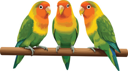 Three colorful lovebirds sitting on branch, tropical exotic parrots illustration, cute green orange yellow pet birds vector art design