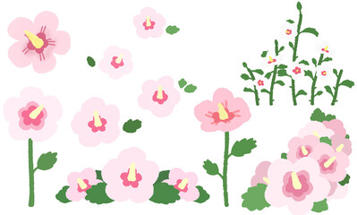 set of Korea's Chrysanthemum Mugunghwa - rose of Sharon hibiscus