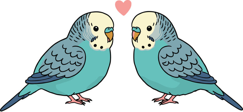 Cute blue parakeet couple illustration, romantic budgie birds with heart, adorable vector love birds drawing for Valentine’s Day design