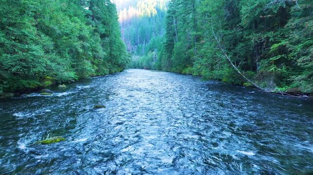 McKenzie River Aerial Shot Near Eugene Oregon