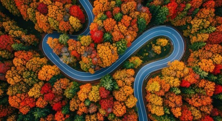 Aerial view of a winding road cutting through a vibrant forest ablaze with the colors of autumn, creating a stunning landscape