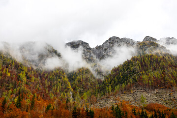 atmospheric autumn landscape with foggy mountain range. multi colored autumn forest at the foot of the mountains. autumn in alps