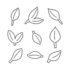 Leaf Line Icon Set